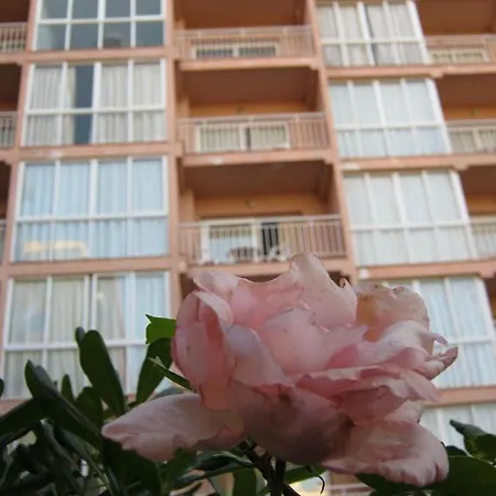 アパート El Velero *