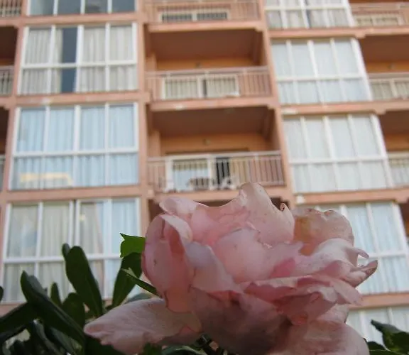 Apartment El Velero *